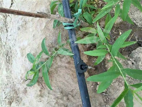 壓力補償?shù)晤^